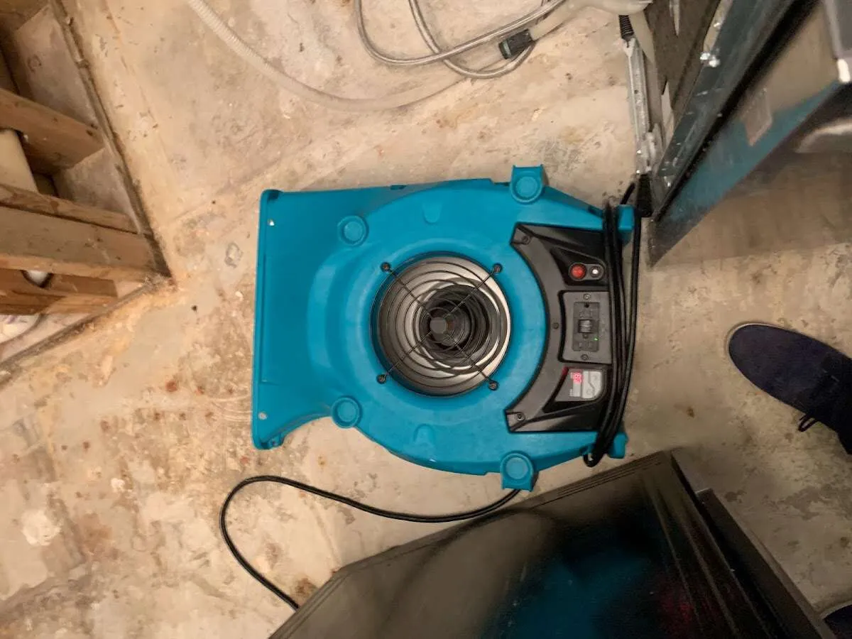 Air mover drying equipment for Mold Remediation & Removal in Bonham