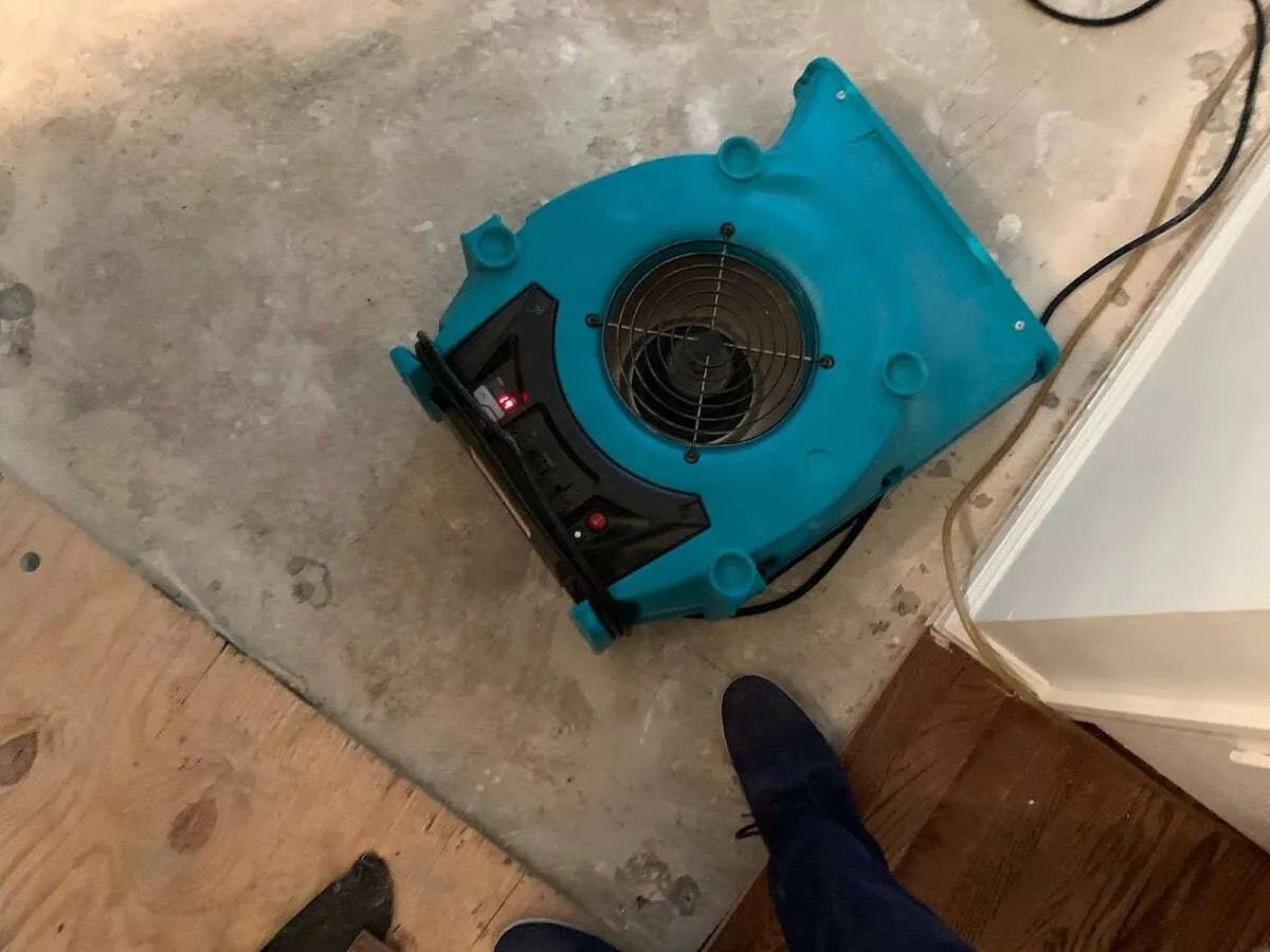 Air mover drying subfloor during Commercial Water Damage Restoration in Bonham